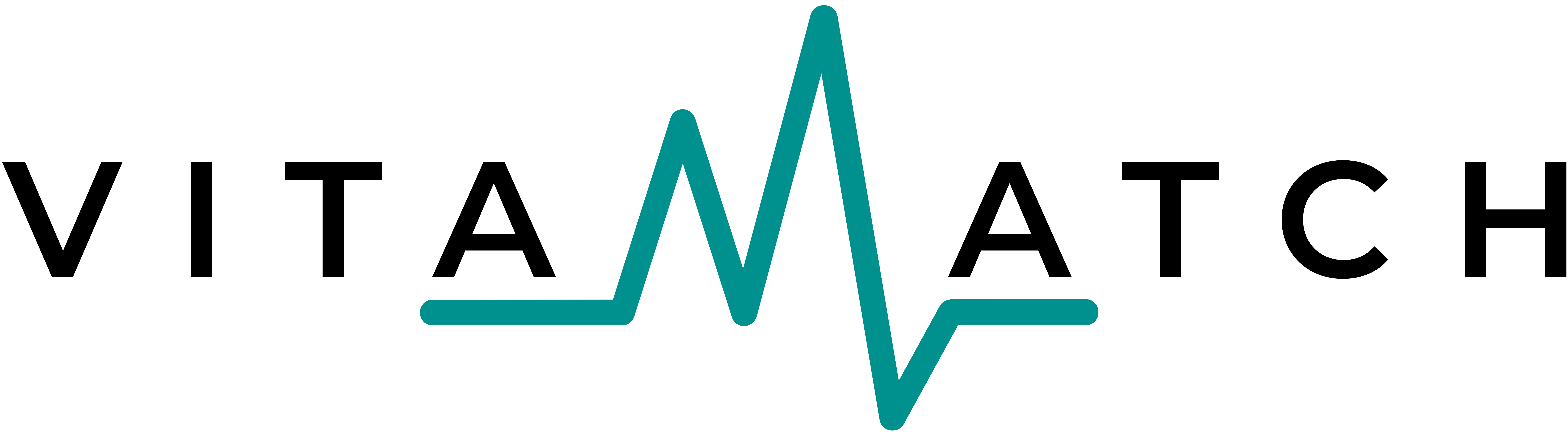 Vitamatch logo